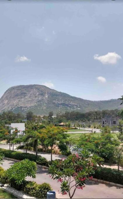 A Glass Haven , Nandi Hills Nandigunda Kültér fotó